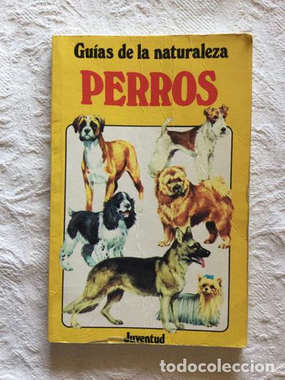 Libros: Perros - Harry Glover - Foto 1