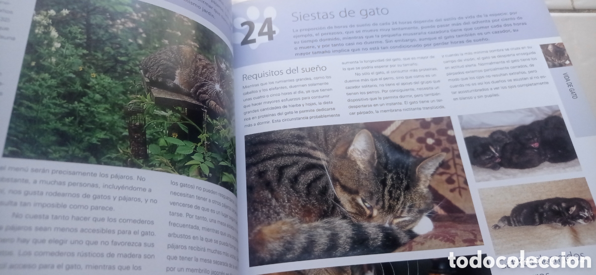 Libros: 100 maneras de entender a su gato ,Roger tabor - Foto 5