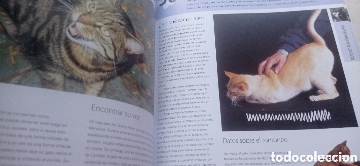 Libros: 100 maneras de entender a su gato ,Roger tabor - Foto 6