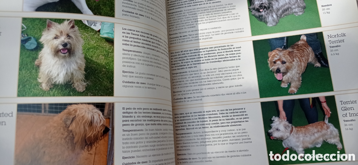 Libros: 100 maneras de entender a su perro , Roger tabor - Foto 7