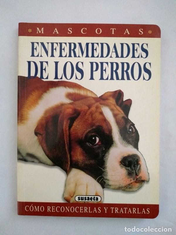 Libros: Enfermedades de los perros - Foto 1