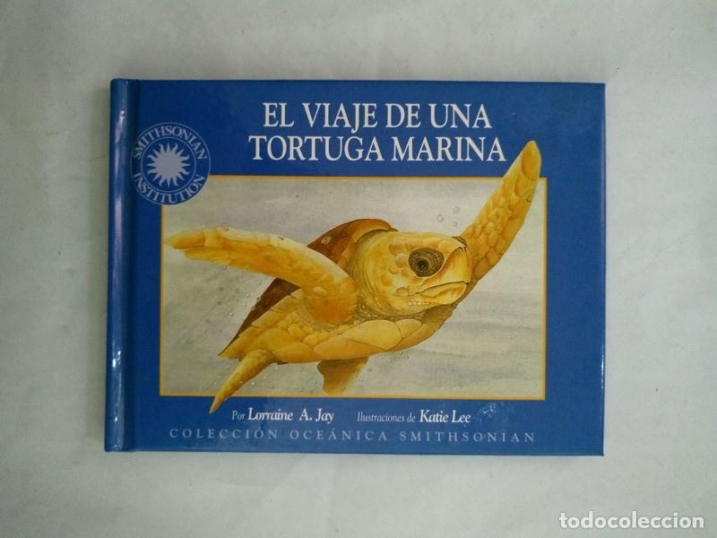 Libros: El viaje de una tortuga marina - Lorraine A. Jay - Foto 1