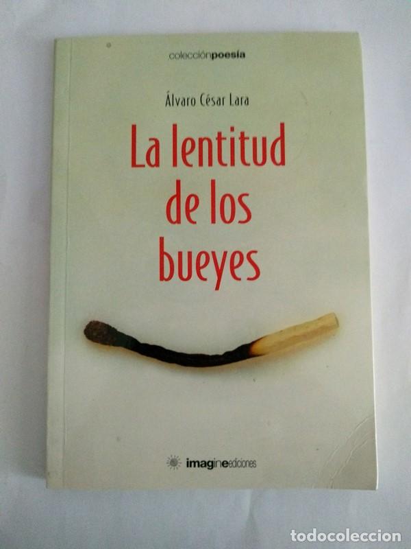 Libros: La lentitud de los bueyes - Alvaro C&eacute;sar Lara - Foto 1