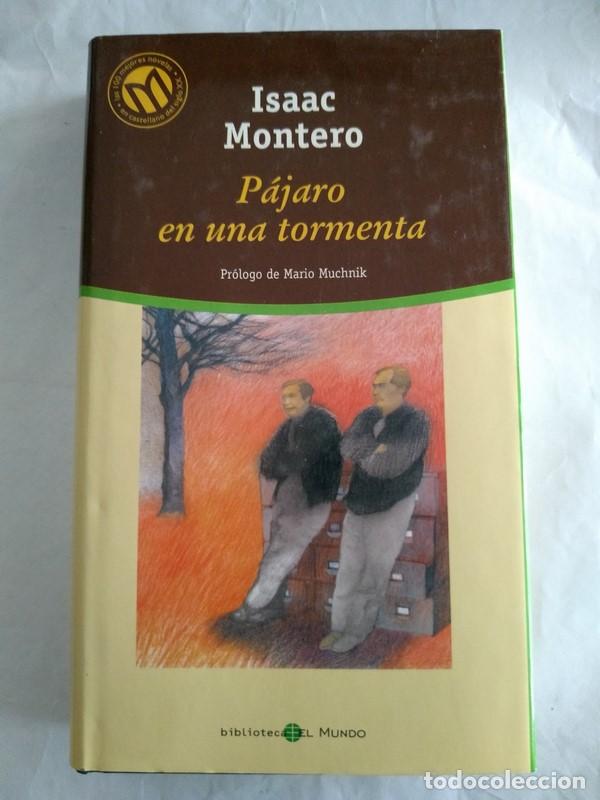 Libros: Pajaro en una tormenta - Isaac Montero - Foto 1