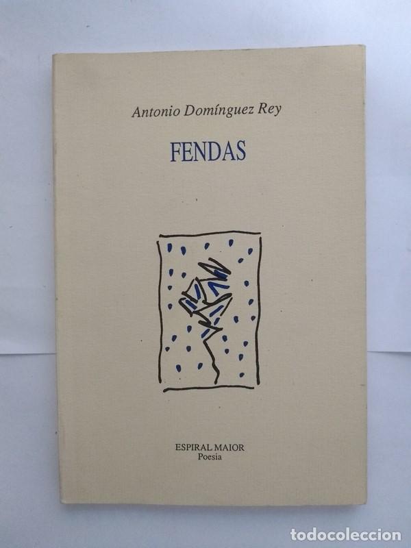 Libros: Fendas - Antonio Dom&iacute;nguez Rey - Foto 1