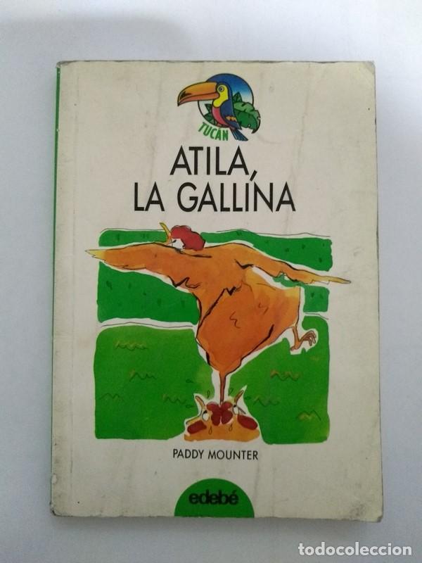 Libros: Atila, la gallina - Paddy Mounter - Foto 1