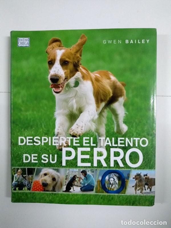 Libros: Despierte el talento de su perro - Gwen Bailey - Foto 1