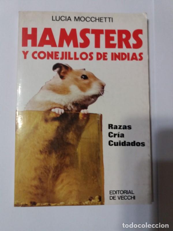 Libros: Hamsters y conejillos de Indias - Lucia Mocchetti - Foto 1