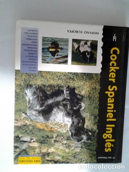 Libros: Cocker Spaniel Ingles - Haja van Wessem - Foto 1