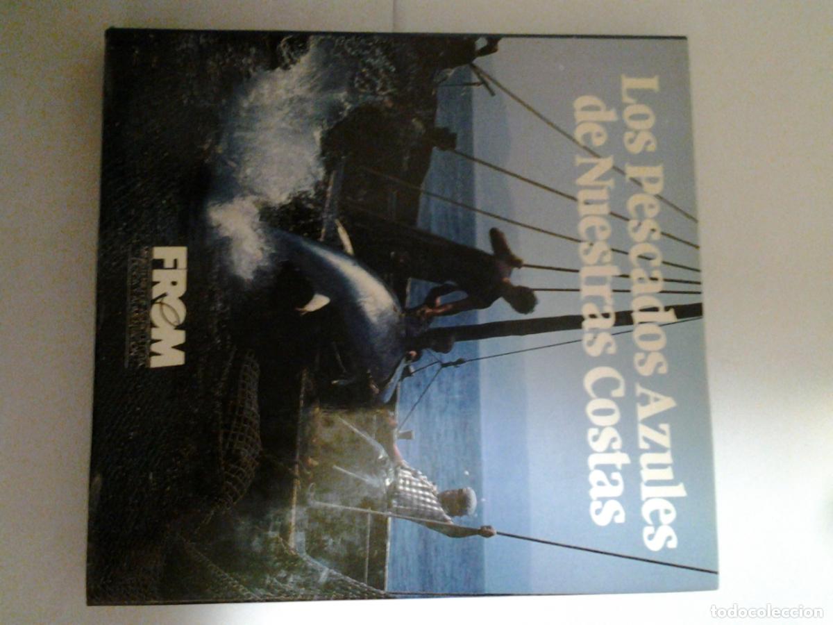 Libros: Los pescados Azules de nuestras Costas - Foto 1
