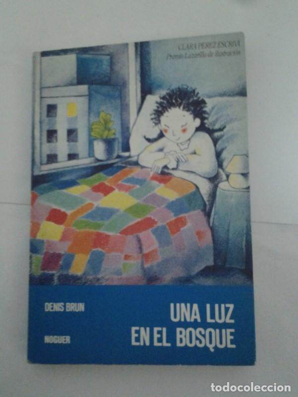 Libros: Una luz en el bosque - Denis Brun - Foto 1