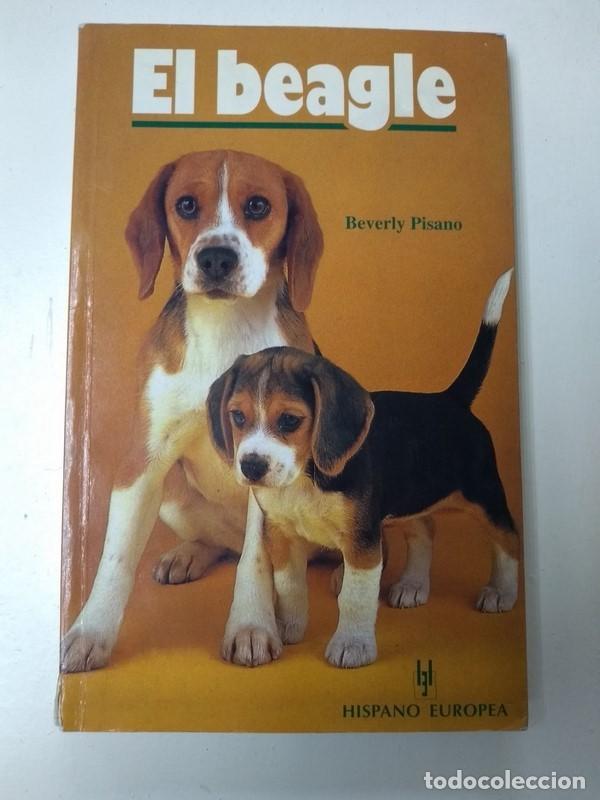 Libros: El beagle - Beverly Pisano - Foto 1