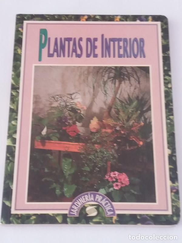 Libros: Plantas de interior - Pierre Nessmann - Foto 1