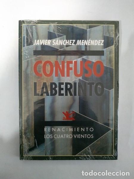 Libros: Confuso laberinto - Javier Sanchez Menendez - Foto 1