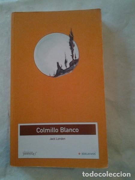 Libros: Colmillo Blanco - Jack London - Foto 1