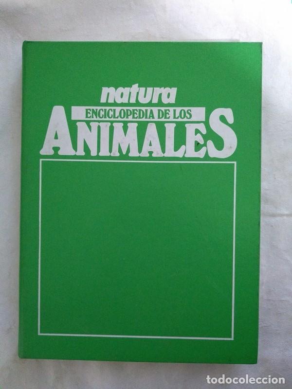 Libros: Enciclopedia de los animales. 1 - Foto 1