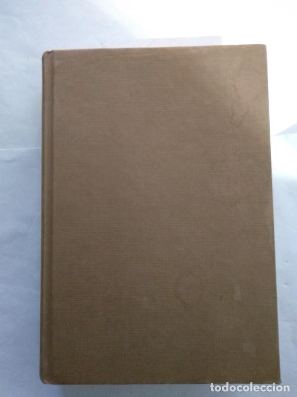 Libros: Scarlett - Alexandra Ripley - Foto 1