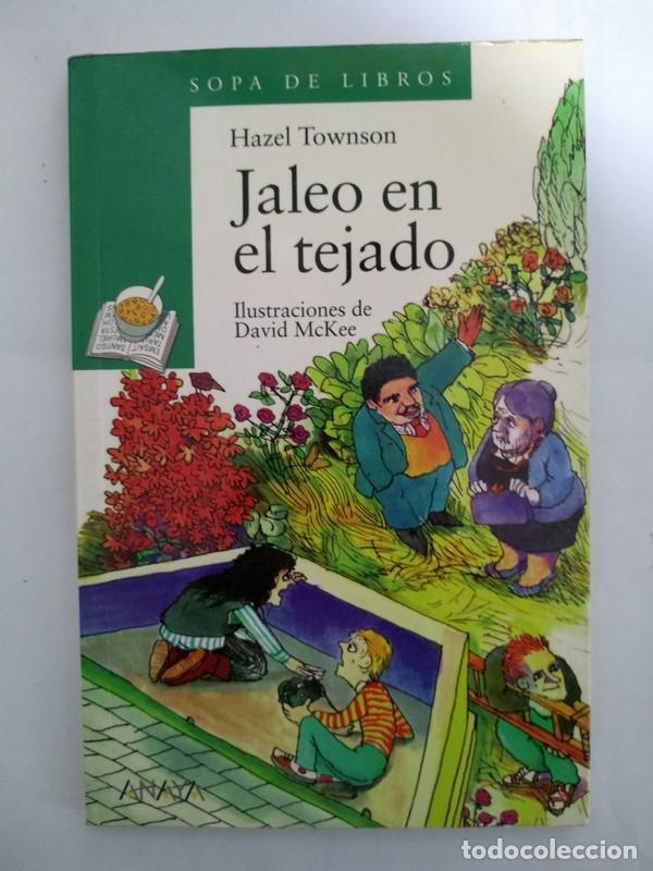 Libros: Jaleo en el tejado - Hazel Townson - Foto 1