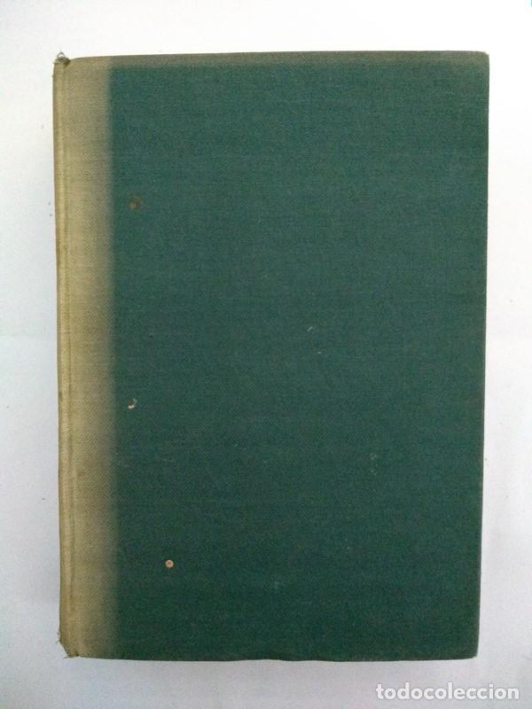 Libros: La serpiente y el palo - Frank Yerby - Foto 1