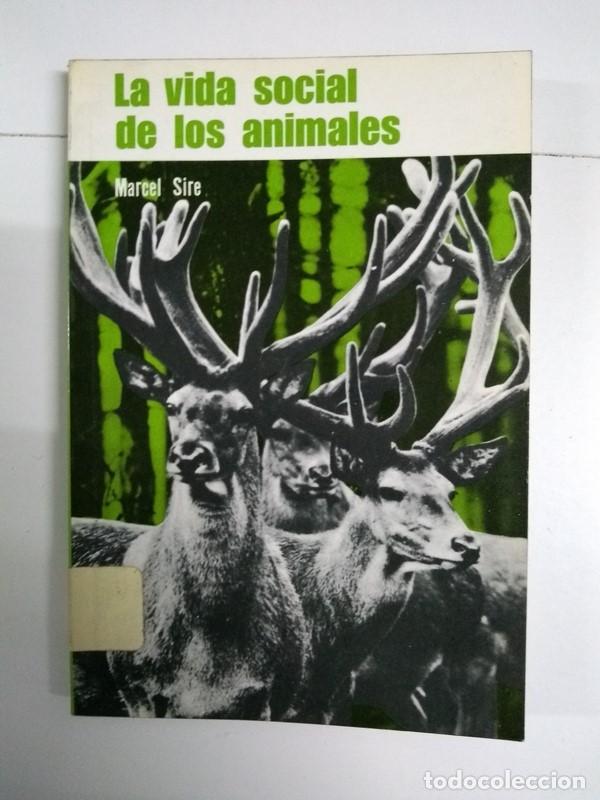Libros: La vida social de los animales - Marcel Sire - Foto 1