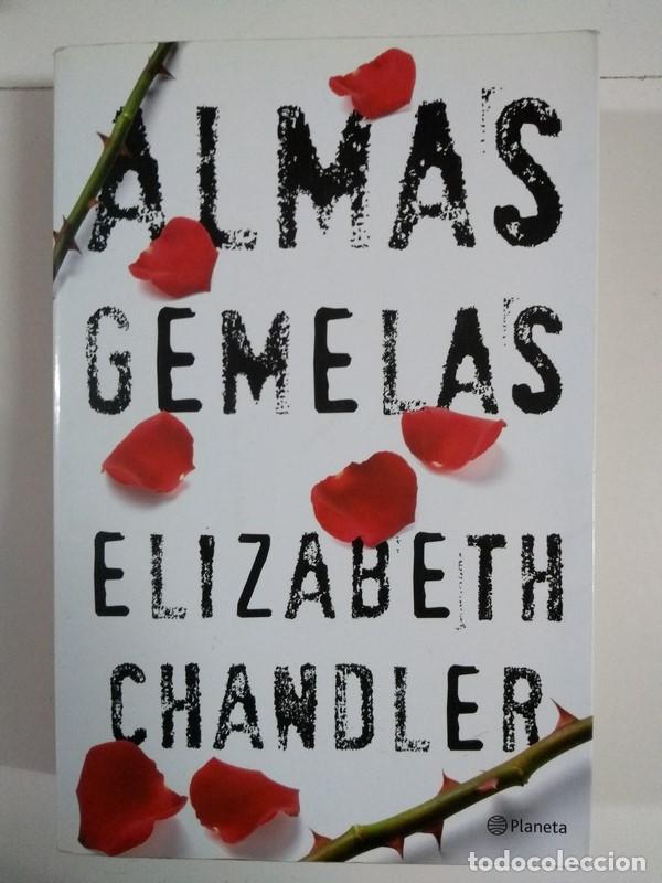Libros: Almas gemelas - Elizabeth Chandler - Foto 1