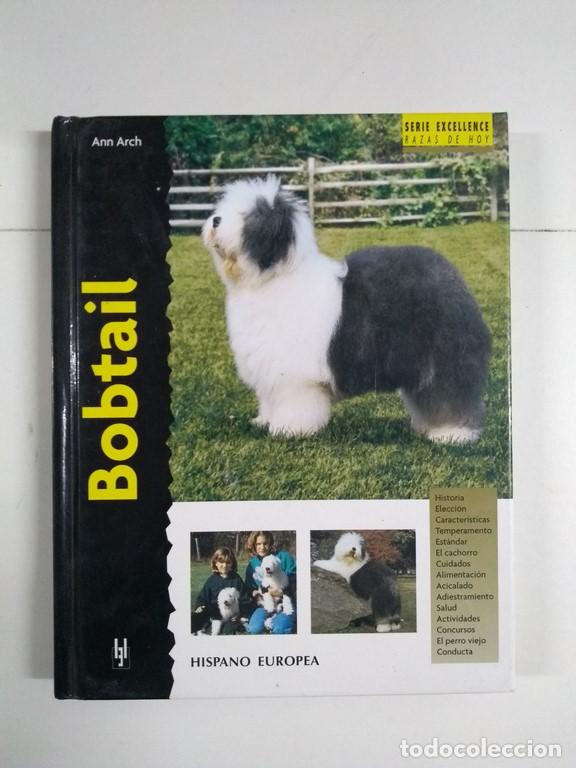 Libros: Bobtail - Ann Arch - Foto 1