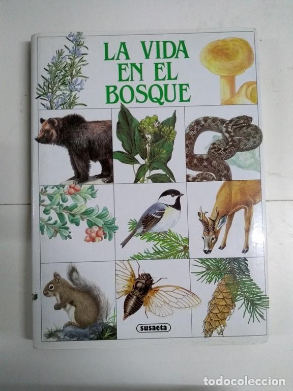 Libros: La vida en el bosque - Karel St&agrave;stn&yacute; - Foto 1
