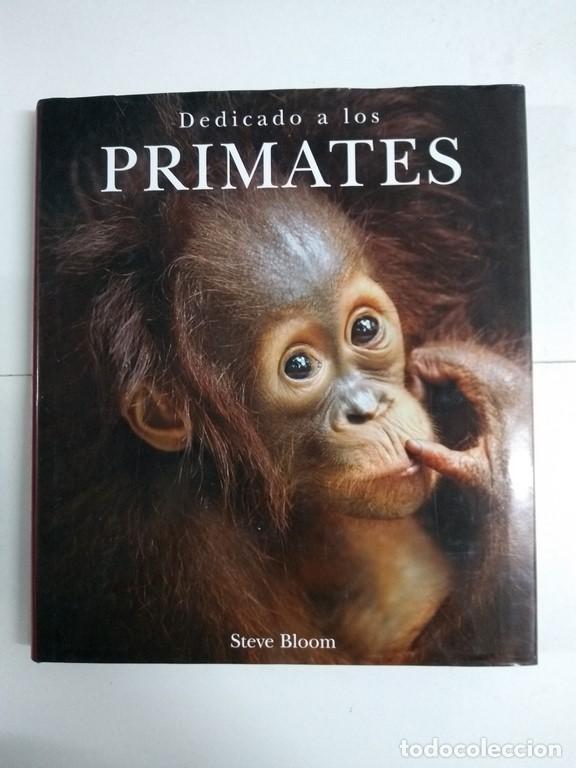 Libros: Dedicado a los primates - Steve Bloom - Foto 1