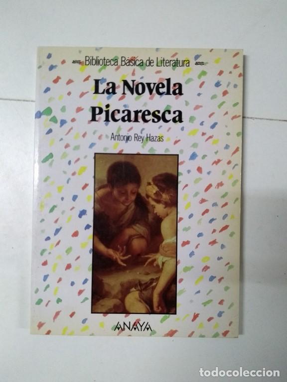 Libros: La Novela picaresca - Antonio Rey Hazas - Foto 1