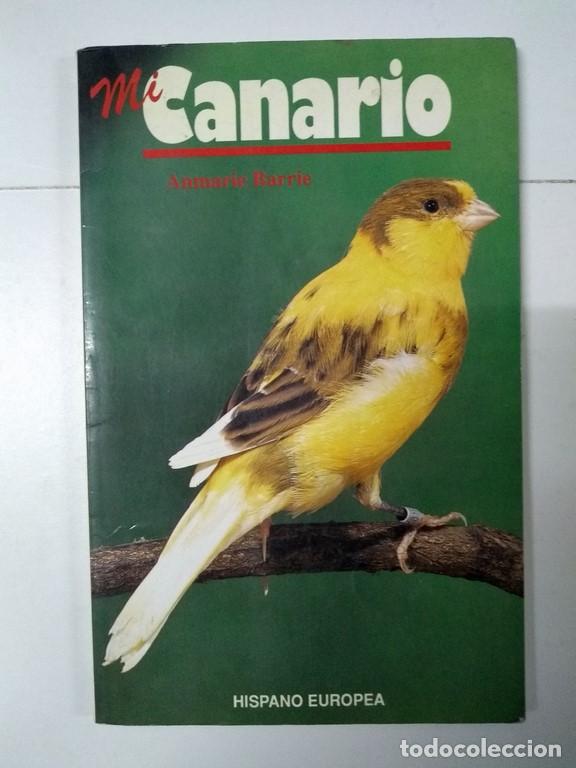 Libros: Mi Canario - Anmarie Barrie - Foto 1