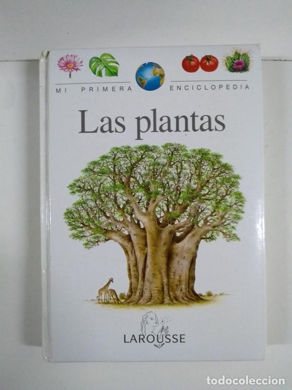 Libros: Las plantas - Foto 1