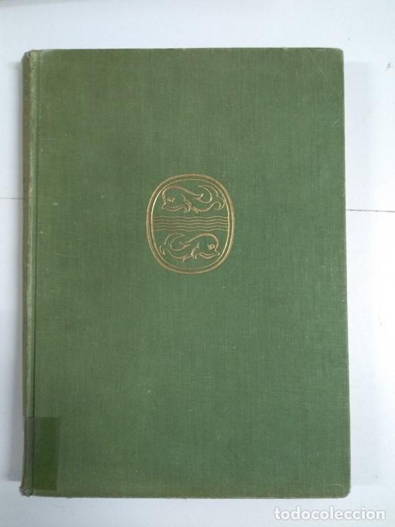 Libros: Scotland - G. S. Fraser - Foto 1