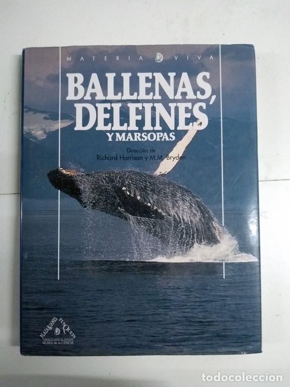 Libros: Ballenas, delfines y marsopas - Richard Harrison y M. M. Bryden - Foto 1
