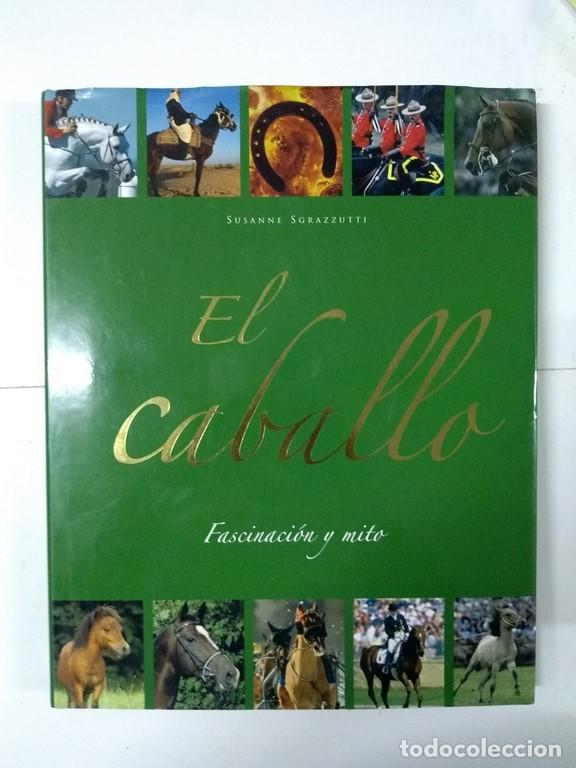 Libros: El caballo - Susanne Sgrazzutti - Foto 1