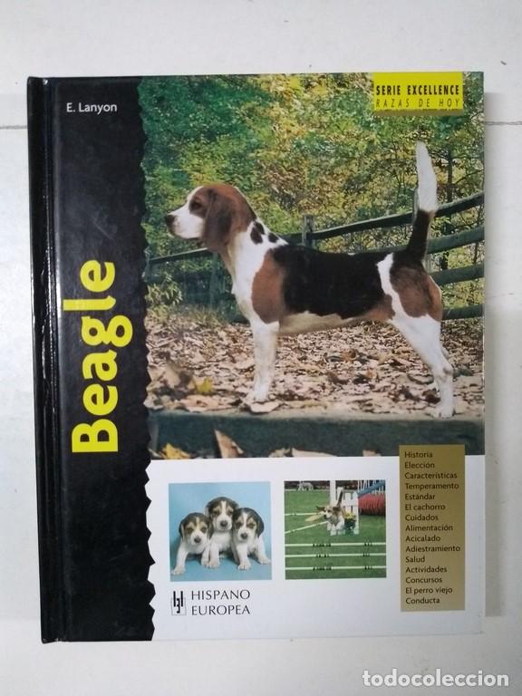 Libros: Beagle - E. Lanyon - Foto 1