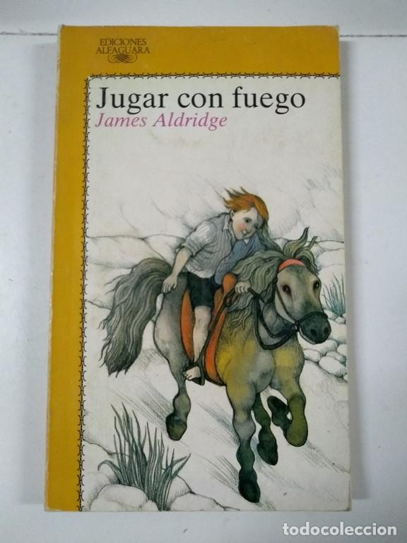 Libros: Jugar con fuego - James Aldridge - Foto 1