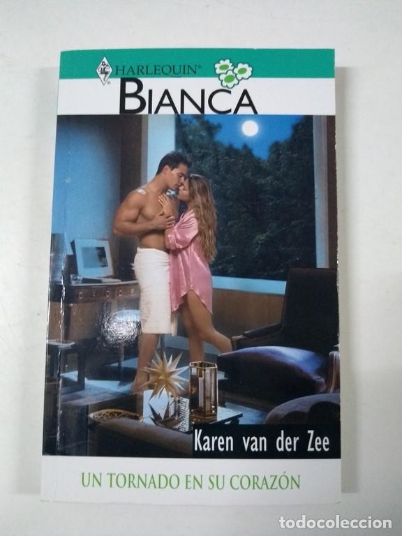 Libros: Un tornado en su coraz&oacute;n - Karen van der Zee - Foto 1