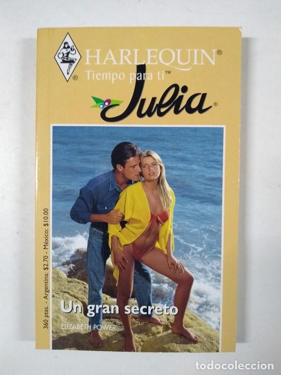 Libros: Un gran secreto - Elizabeth Power - Foto 1