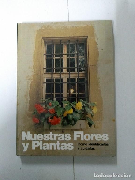 Libros: Nuestras Flores y Plantas - Foto 1