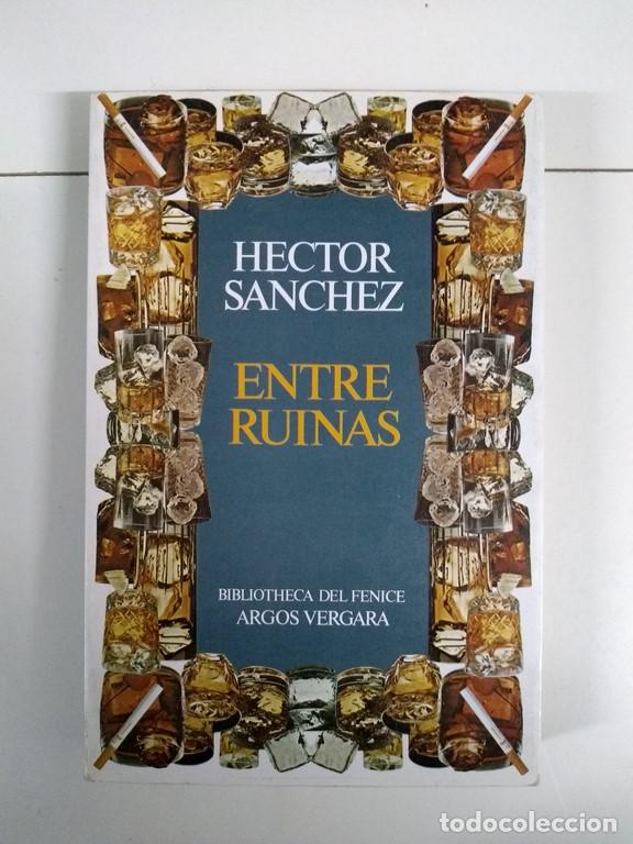 Libros: Entre ruinas - H&eacute;ctor S&aacute;nchez - Foto 1