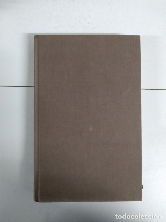 Libros: El bosque de los dioses - Stanis Mulas - Foto 1