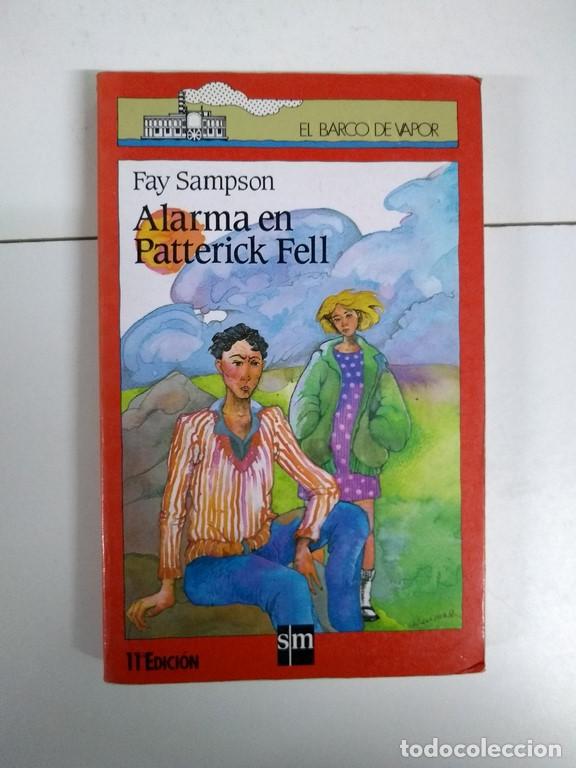 Libros: Alarma en Patterick Fell - Fay Sampson - Foto 1