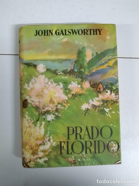 Libros: Prado florido - John Galsworthy - Foto 1