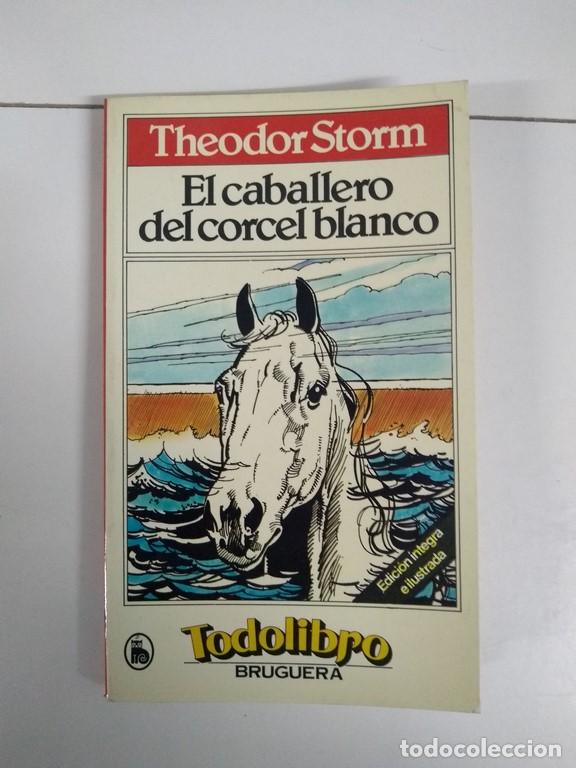 Libros: El caballero del corcel blanco - Theodor Storm - Foto 1