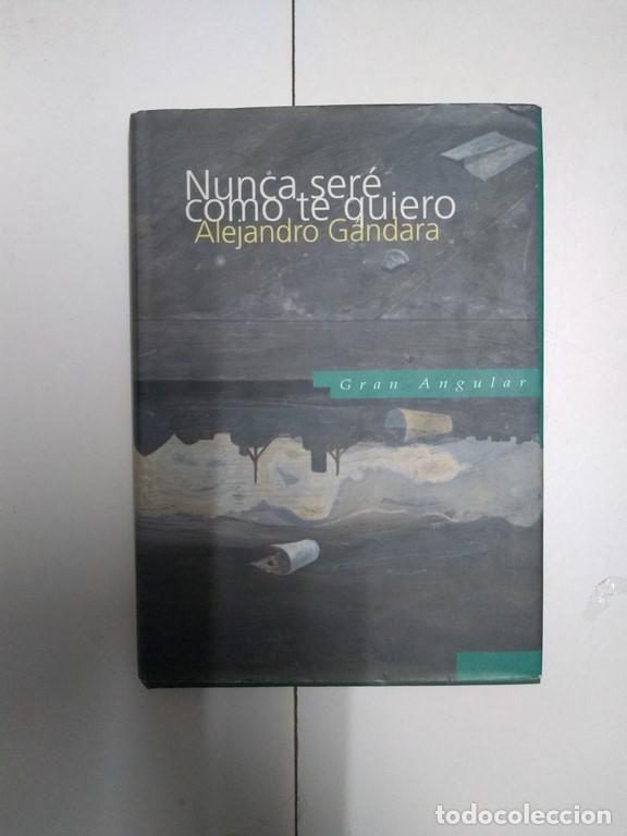 Libros: Nunca ser&eacute; como te quiero - Alejandro G&aacute;ndara - Foto 1