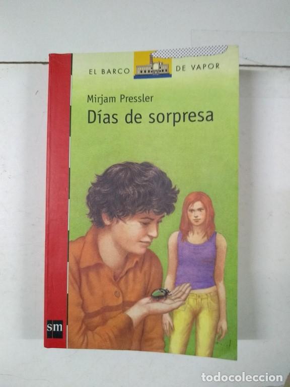 Libros: D&iacute;as de sorpresa - Mirjam Pressler - Foto 1