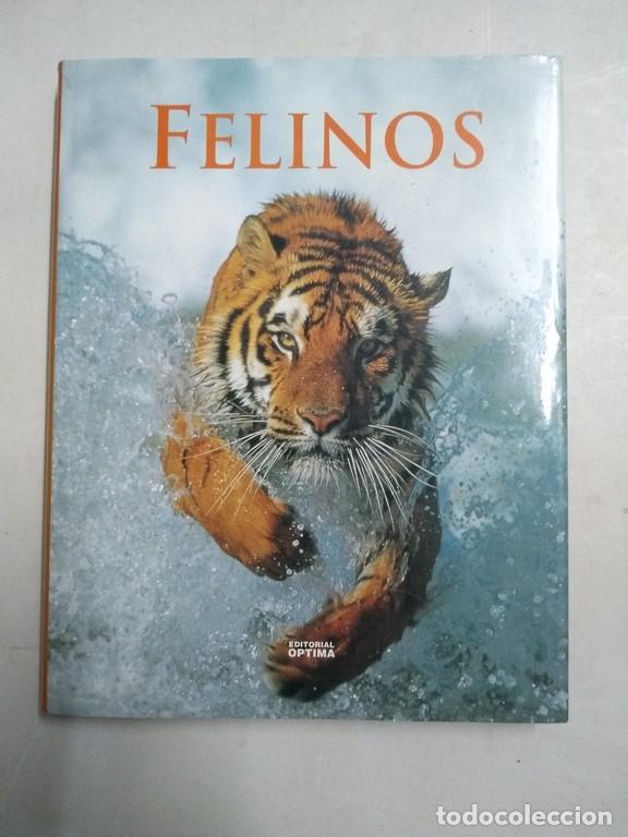 Libros: Felinos - Foto 1