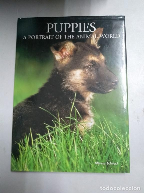 Libros: Puppies - Marcus Schneck - Foto 1