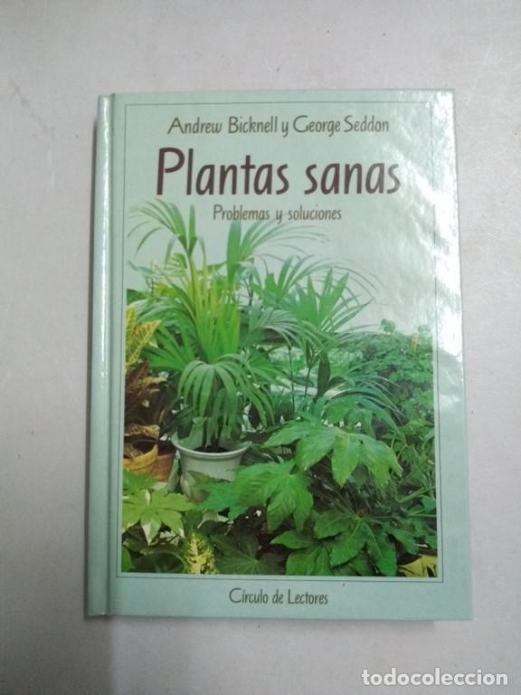 Libros: Plantas sanas - Andrew Bicknell y George Seddon - Foto 1