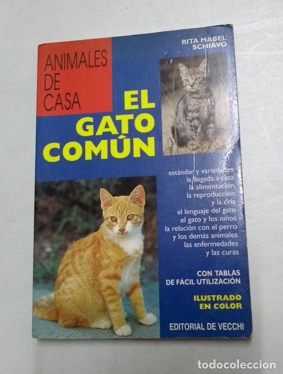 Libros: El gato com&uacute;n - Rita Mabel Schiavo - Foto 1